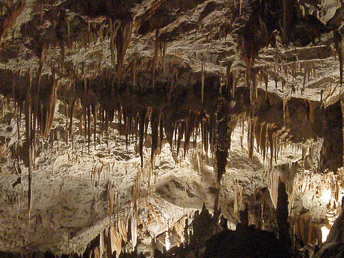 The most seen cave in all of Europe and the second biggest in the world, Postojna Caves is twenty kilometers of passages, galleries and chambers.
